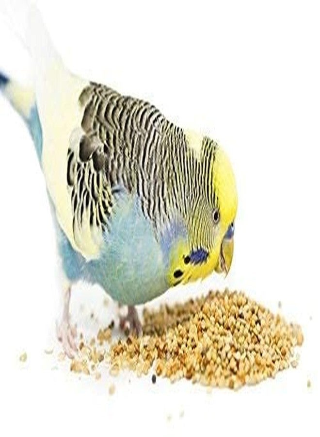 TRADESK Anky Kangni Seeds Bird Food High-Fiber Balanced Nutritious Daily Diet for All Bird Types 1KG - Image 2